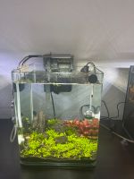 Aquarium (Aquascaping) 20 Liter komplett Hessen - Hanau Vorschau