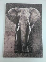 Bild Elefant gross Nordrhein-Westfalen - Frechen Vorschau