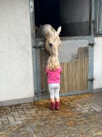 Ferienprogramm, Reiterferien,Sommerferien, Reitercamp,Ferien Brandenburg - Dallgow Vorschau