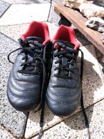 Pro Touch Fußballschuhe Größe 29 Sachsen - Großenhain Vorschau