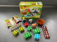 Lego Duplo Set 10581 Hessen - Hanau Vorschau