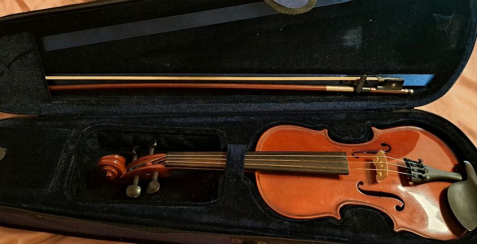 Halbe Geige mit Geigenkasten in Lage