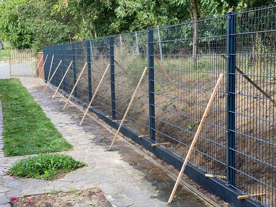 CITY ZAUN Zaunbau Hochwertige Zäune Doppelstabmattenzaun Premiumzaun 6/5/6 8/6/8 Doppelstabmatten Sichtschutzzaun Gartenzaun Metallzaun Zauntor Tor Pforte Zaunpforte Montage Sichtschutz Zaunmontage in Berlin