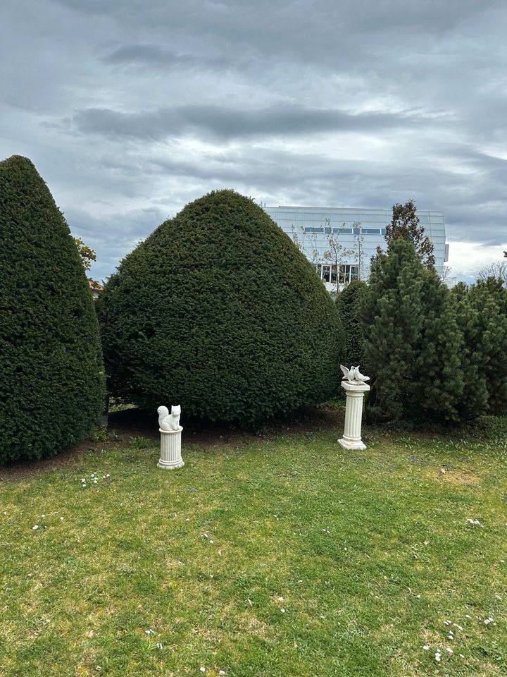 Gärtner-Gartenarbeit-Gartenlandschaftsbau,Garten in Celle