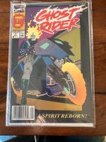 Ghost Rider Comic A spirit reborn (Amerikanische Ausgabe) Bayern - Tapfheim Vorschau
