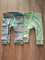 H&M Leggings Set grün Krokodil Niedersachsen - Duderstadt Vorschau