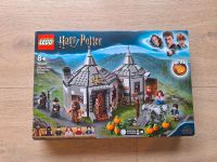 Lego 75947 Hagrid's Hütte Nordrhein-Westfalen - Telgte Vorschau