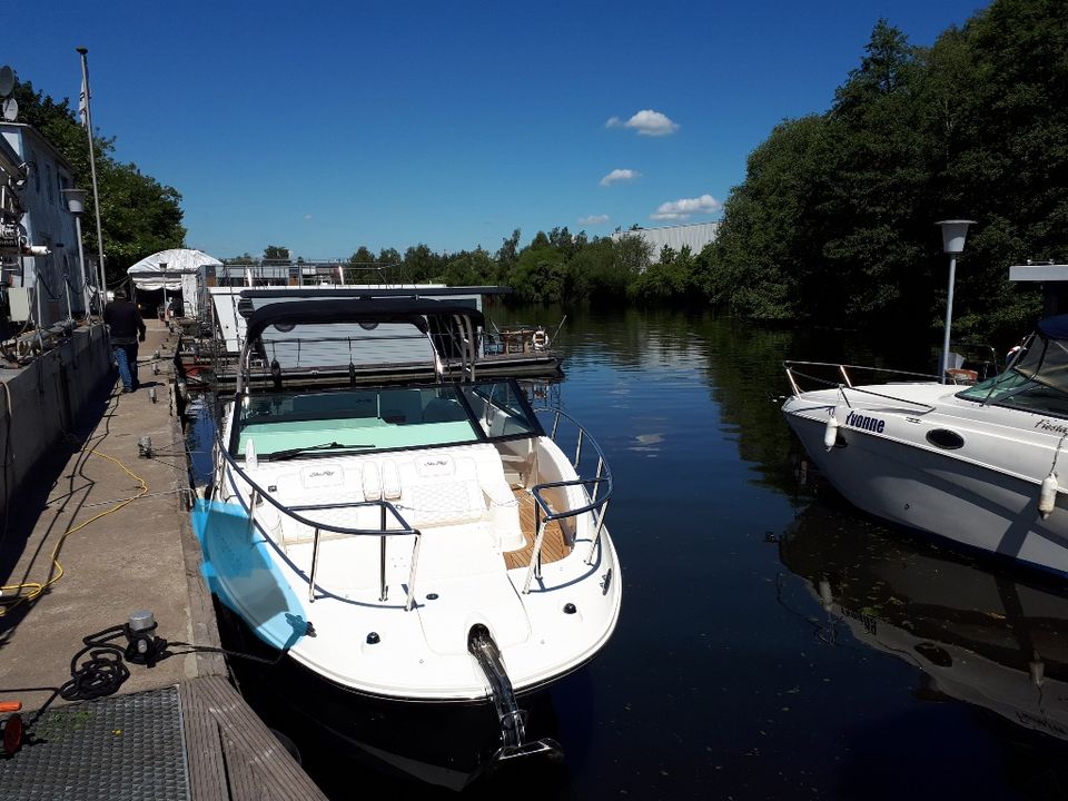 Sea Ray 290 Sundancer  2019 in Wester-Ohrstedt