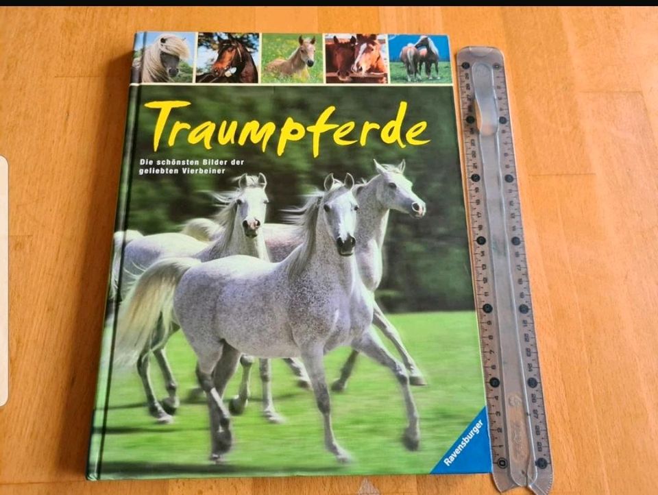 Buch Traumpferde - für Kinder in Aachen