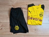 Fussballtrikot BVB Größe 176 Herzogtum Lauenburg - Brunstorf Vorschau