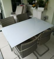 TISCHPLATTE GLAS GLASPLATTE weiss 135x85cm terassentisch OUTDOOR Rheinland-Pfalz - Bad Kreuznach Vorschau