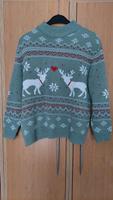 Damen Weihnachtspullover, hellgrün, Größe 44/46 Hessen - Hessisch Lichtenau Vorschau