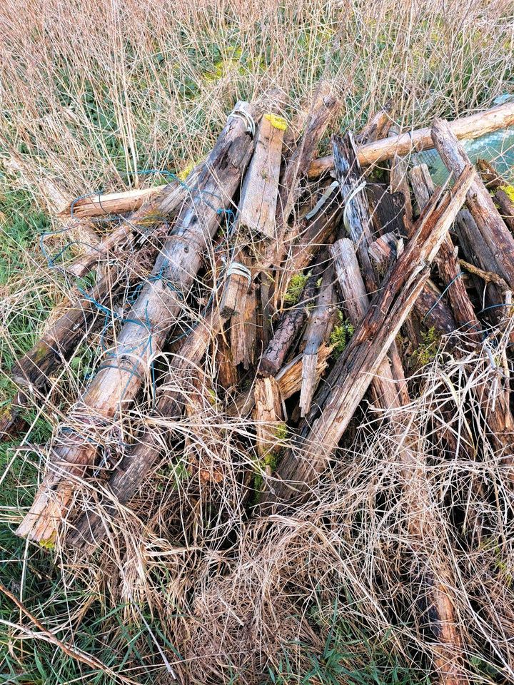 Holz für Lagerfeuer/Feuerschale in Krakow am See
