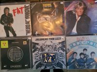 Vinyls Schallplatten LP Maxis 27 stück Niedersachsen - Lingen (Ems) Vorschau