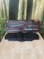 RAPAX Gaming Tastatur Nordrhein-Westfalen - Rheinbach Vorschau