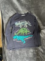 Langarm T-Shirt H&M blau Pailletten Dinosaurier 128 Bayern - Essenbach Vorschau