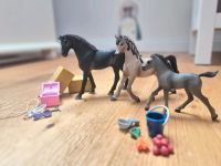 SCHLEICH * Pferdeset mit Fohlen * mit Zubehör Brandenburg - Zeschdorf Vorschau