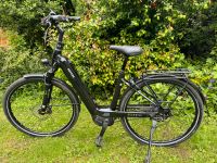 Kettler Quadriga Pro Belt Automatic Enviolo 48cm Rahmen  E-Bike Nordrhein-Westfalen - Grevenbroich Vorschau