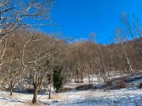 Suche Wald, Stückle, Wiese, Streuobstwiese oder ähnliches Baden-Württemberg - Ohmden Vorschau