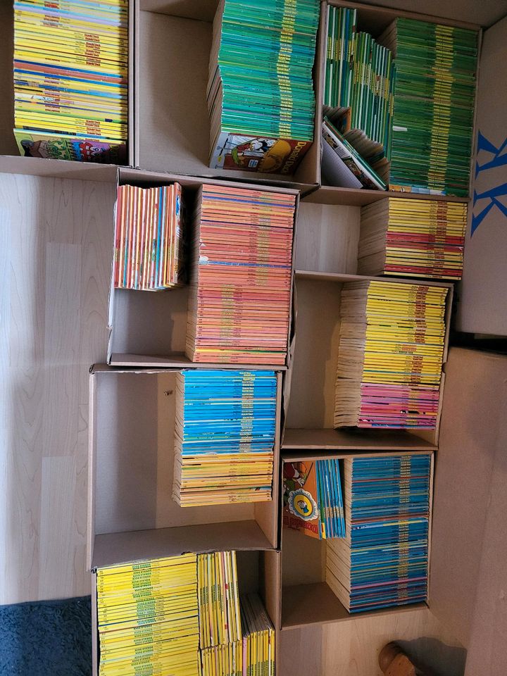 Große Donald Duck Taschenbücher Sammlung in Rödersheim-Gronau