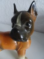 Antiquität: Boxer Hund Welpen C. CORTENDORF MO Kiel - Ellerbek-Wellingdorf Vorschau