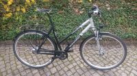 Winora Labrador mit Rohloff Speedhub, Magura, Busch & Müller etc. Dresden - Dresden-Plauen Vorschau