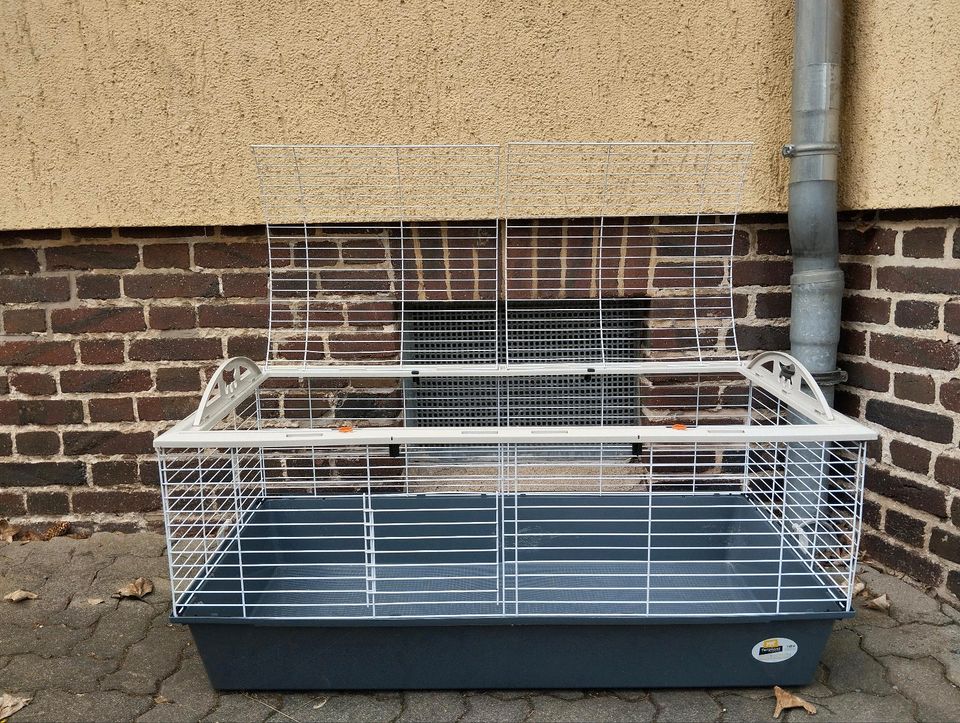 Käfig für Kaninchen, Meerschweinchen, Ratten, Degus in Chemnitz