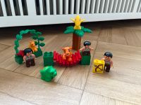 Lego Duplo Dschungel, Dinosaurier, Tiere, Steinzeitmenschen Bayern - Altenstadt Iller Vorschau