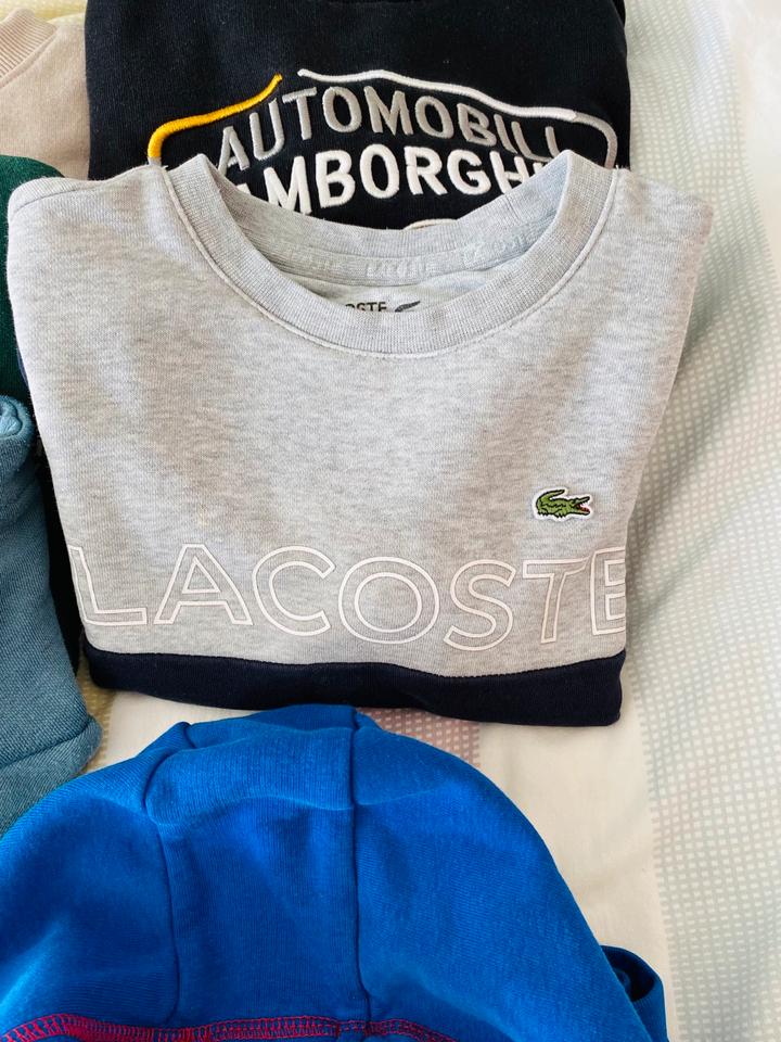 Pullover Engelbert Strauss ,Lacoste und mehr 116/122 in Siegbach