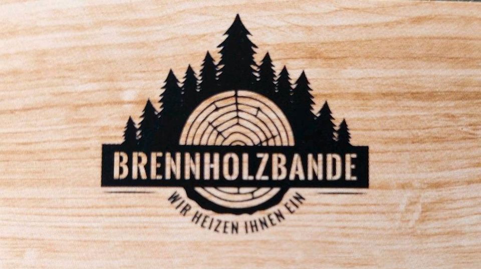 Brennholz Buchenholz 30 cm inkl.Lieferung und MwSt in Calbe (Saale)