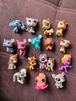 Littlest Pet Shop Figuren LPS Kreis Pinneberg - Rellingen Vorschau