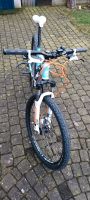Ein tolles Mountainbike von Stevens Rheinland-Pfalz - Zeltingen-Rachtig Vorschau