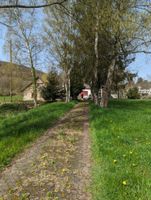 Hof in absoluter Alleinlage mit arrondiertem Weideland, Stall, Backhaus etc. Rheinland-Pfalz - Hahnenbach Vorschau