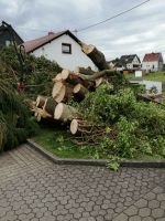 Baumfällung , Baumpflege , Mulcharbeiten , Gartenarbeiten Saarland - St. Wendel Vorschau