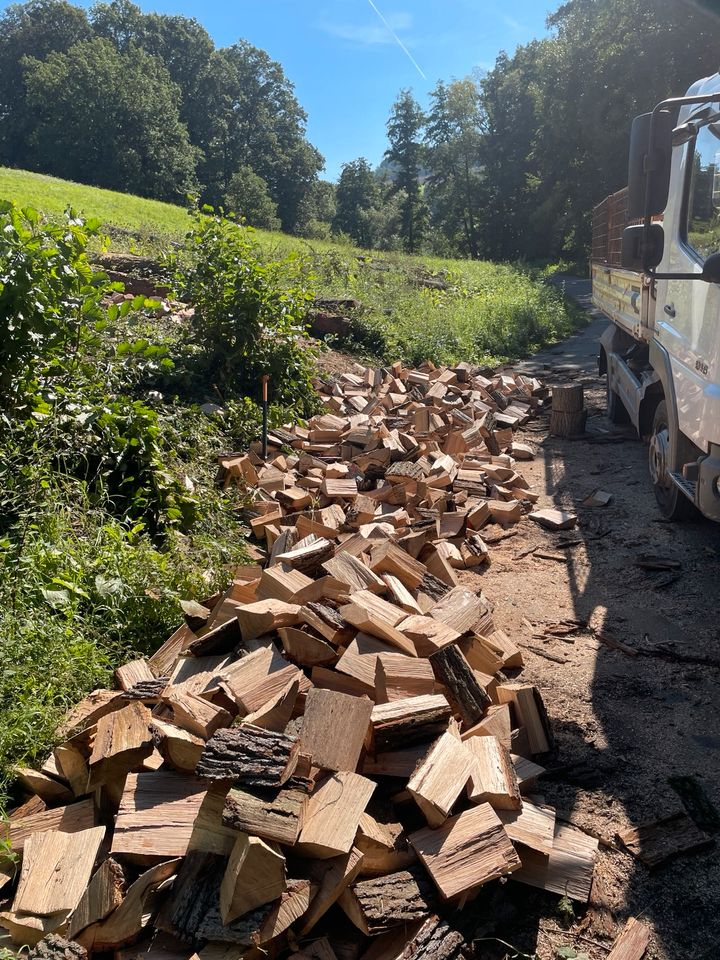 Brennholz Kaminholz Buche Eiche in St. Ingbert