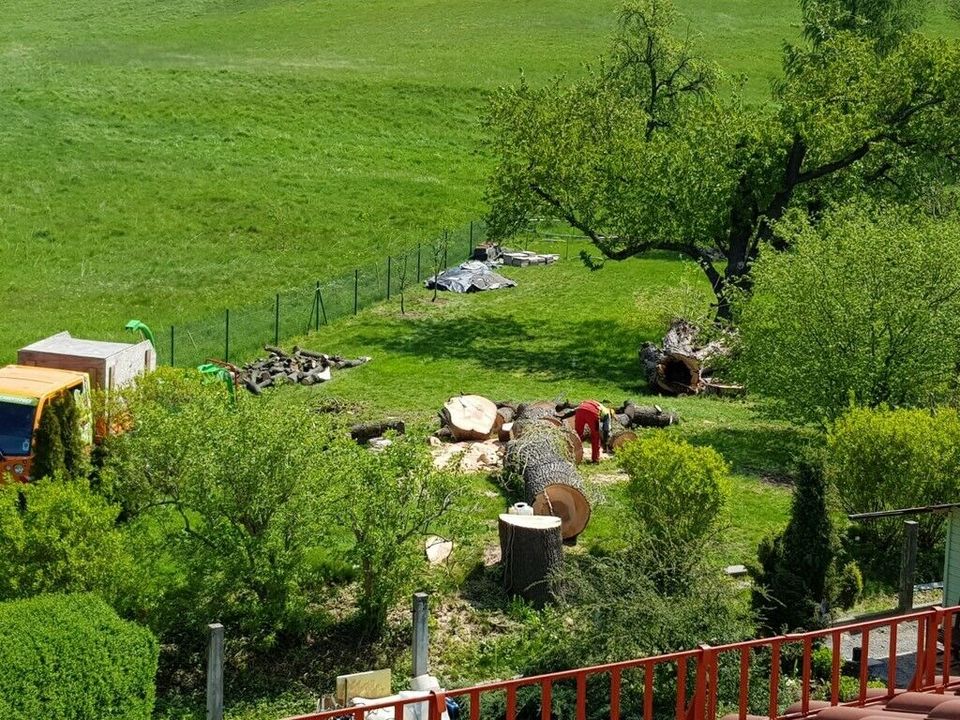 Baumfällung, Stubbenfräsen, Häcksel arbeiten, Holzspalten in Pirna