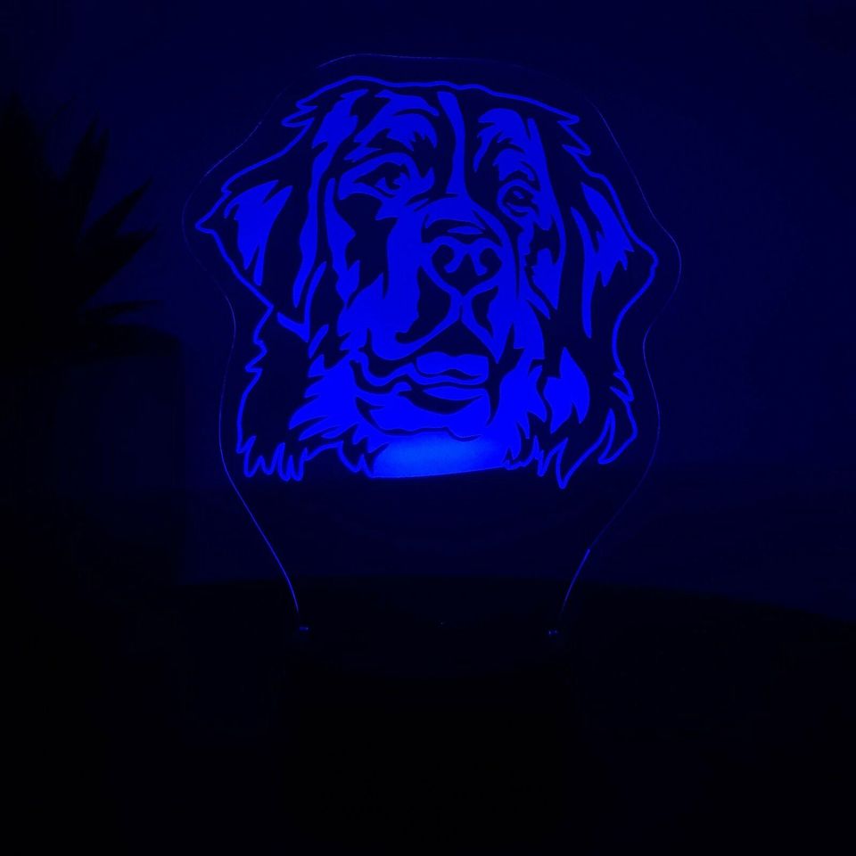 LED Lampe Berner Sennenhund in Schülp bei Rendsburg