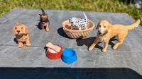 Schleich Hunde, Welpen, Hundekorb Schleswig-Holstein - Erfde Vorschau