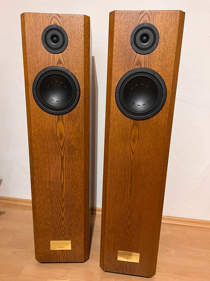 Audiodata Bijou High-End Lautsprecher aus 1 Hand Dynaudio Bässe in Windeck