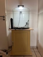 Aquarium 60l von Tetra Nordrhein-Westfalen - Wesseling Vorschau