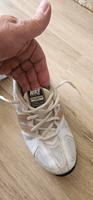 Nike Max Trainer Excel – Größe 38.5 Altona - Hamburg Bahrenfeld Vorschau