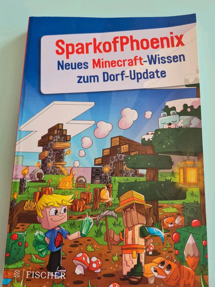 Minecraft Buch Tipps und Tricks in Kapsweyer