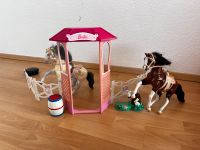 Barbie Koppel mit Tunier-Ausrüstung Baden-Württemberg - Rangendingen Vorschau