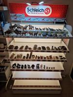 SCHLEICH RARITÄTEN,SELTENE TIERE GÜRTELTIER,STEINMADDER USW Stuttgart - Plieningen Vorschau