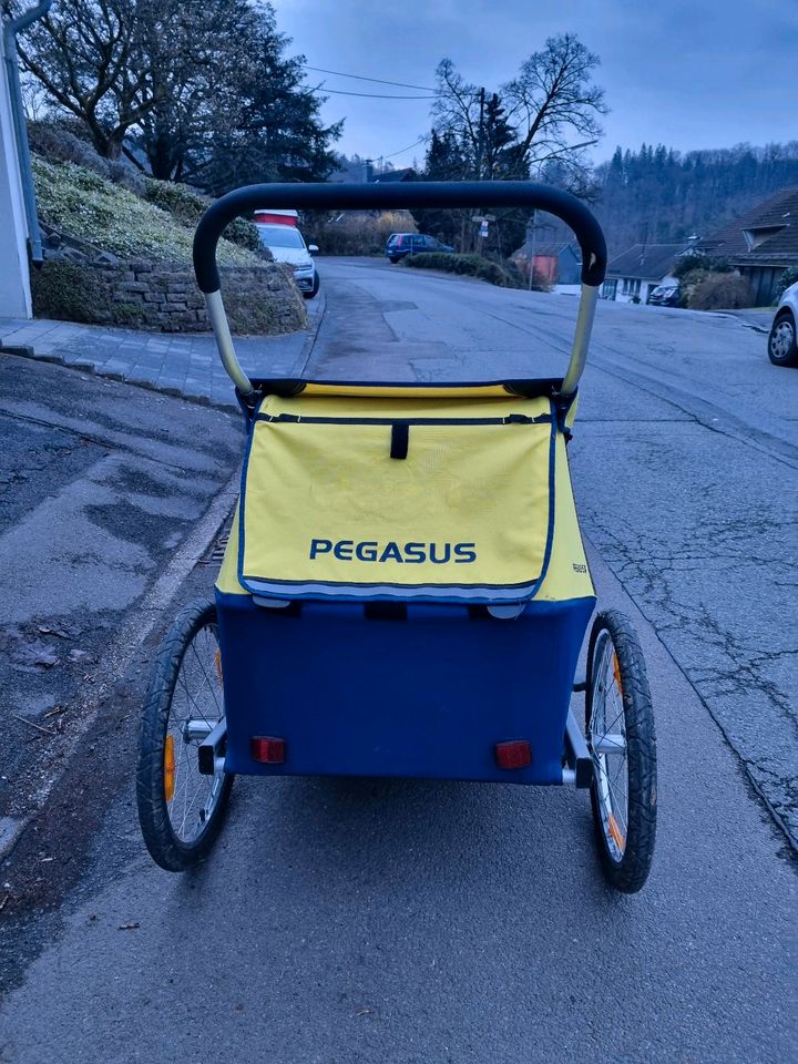 Pegasus Fahrradanhänger / Jogger / Kinderwagen / 2 Kinder in Gummersbach
