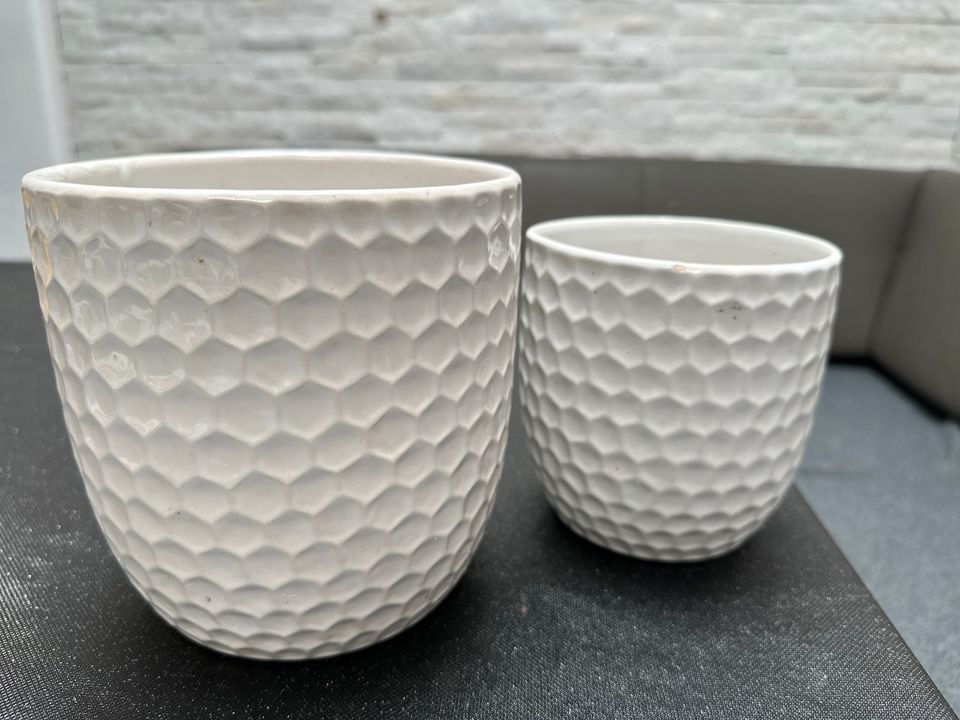 Porzellan Vasen NEU 4 Stück abzugeben in Rodgau