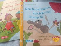 Baby Pixi Bücher Schleswig-Holstein - Glücksburg Vorschau