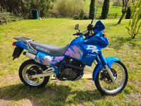 Suzuki DR650 RSEU Baden-Württemberg - Aidlingen Vorschau