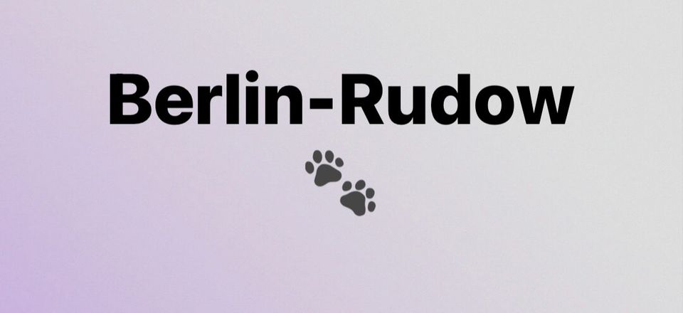 Hundebetreuung in 12355 Berlin-Rudow in Berlin