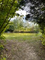 Angelteich in Goslar  Besatz Forelle Aal Wels Karpfen Stör Zander Niedersachsen - Goslar Vorschau